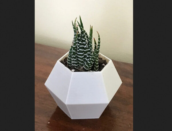 Macetero Hexagonal Para Suculenta Impreso 3d - Imagen 2