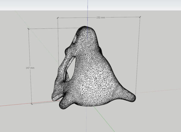 Craneo Cubone Pokemon 3d Pla - Imagen 6