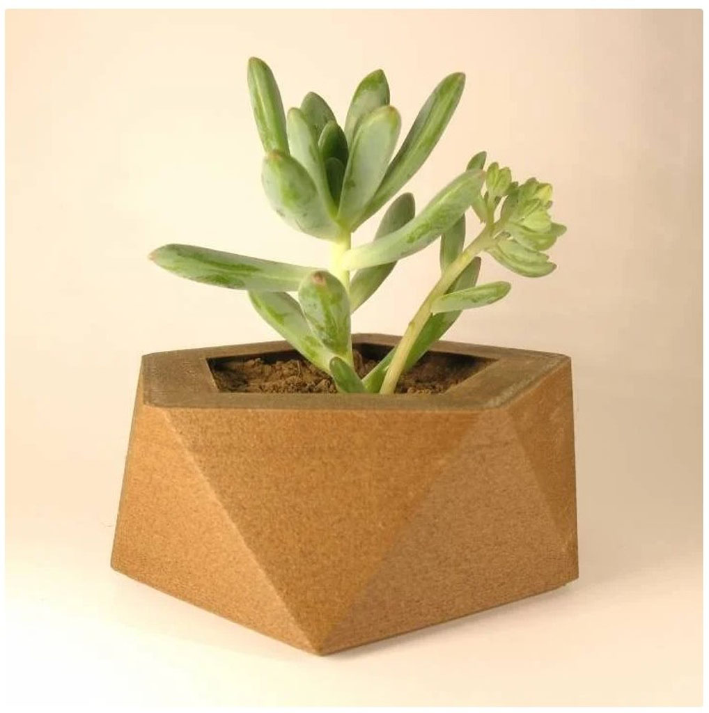 Macetero Pentagono Para Suculenta Impreso 3d - Imagen 2